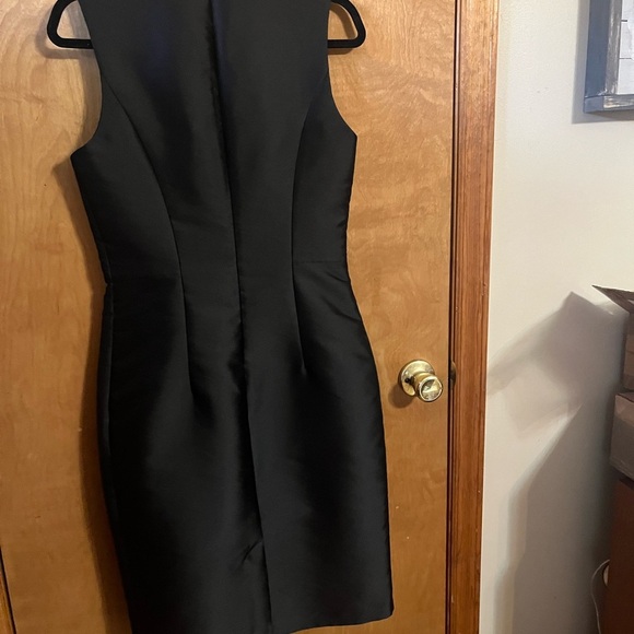 Sachin and Babi Elegant Black Sleeveless Dress - Picture 6 of 8